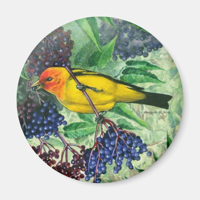 Imán Western Tanager Magnet (Frente)