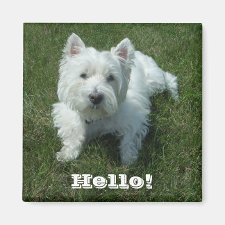 Imán Westie Hello Photo Magnet