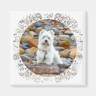 Imán Westie on the Rocks