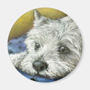 Imán Westie que soña despierto