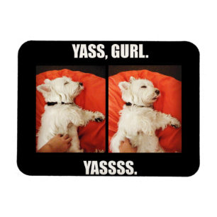 Imán Westie Yass Gurl divertido