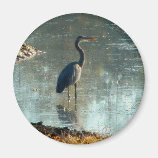 Imán Wetland Blue Heron