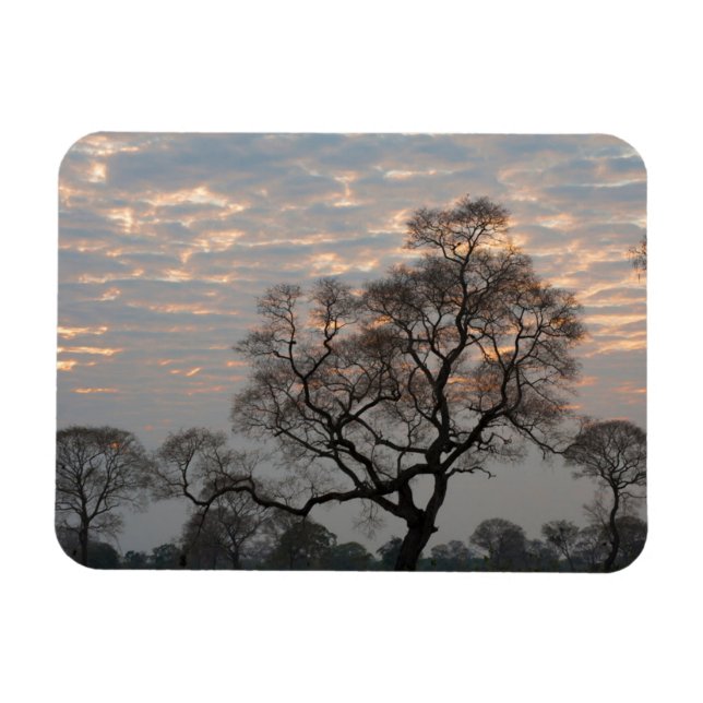 Imán Wetlands Pantanal | Sudamérica, Brasil (Horizontal)