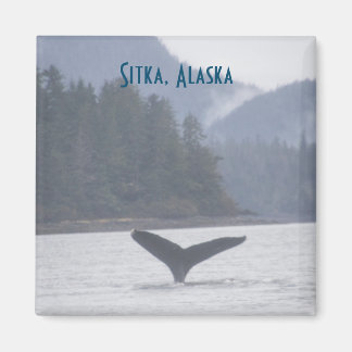 Imán Whale Tail Sitka Alaska