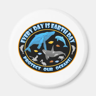 Imán Whales and Dolphins