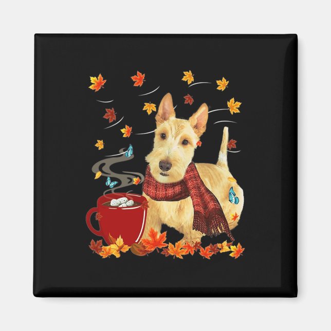 Imán Wheaten Scottish Terrier - Caída - Chocolate - Cal (Frente)