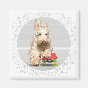 Imán Wheaten Scottish Terrier monopatín