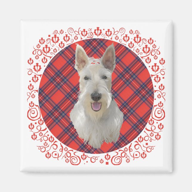 Imán Wheaten Scottish Terrier on Tartán (Frente)