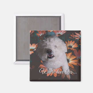 Imán Where Love Lives Magnet
