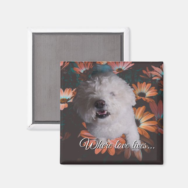 Imán Where Love Lives Magnet (Anverso/Reverso)