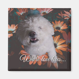 Imán Where Love Lives Magnet