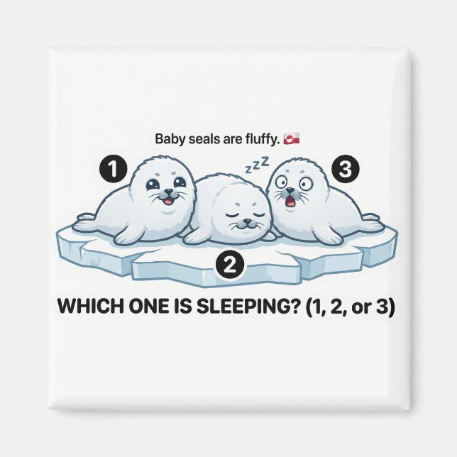 Imán Which One Is Sleeping? – Baby Seal Learning Magnet (Frente)