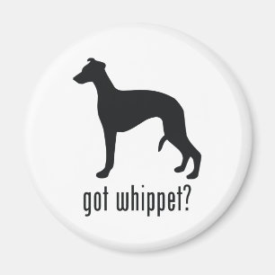 Imán Whippet