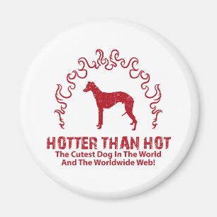 Imán Whippet