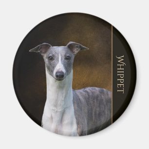 Imán Whippet