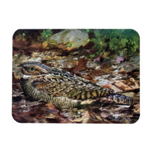 Imán Whippoorwill ocultado