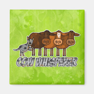 Imán whisperer de la vaca