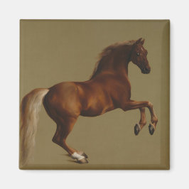 Imán Whistlejacket the Horse (de George Stubbs)