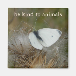 Imán White Butterfly "Be Kind to Animals" Magnet