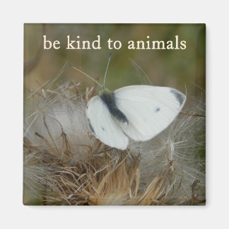 Imán White Butterfly "Be Kind to Animals" Magnet