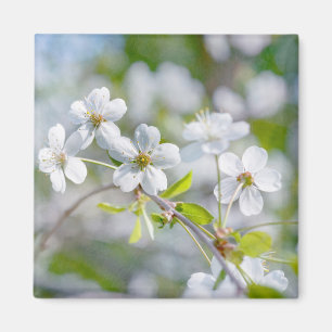 Imán White Cherry Flower