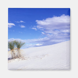 Imán White Sands NM, Nuevo México, Estados Unidos