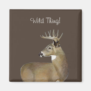 Imán White Tail Buck