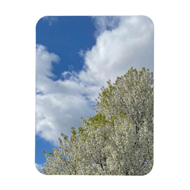 Imán White Tree Blue Sky Clouds Photo (Vertical)