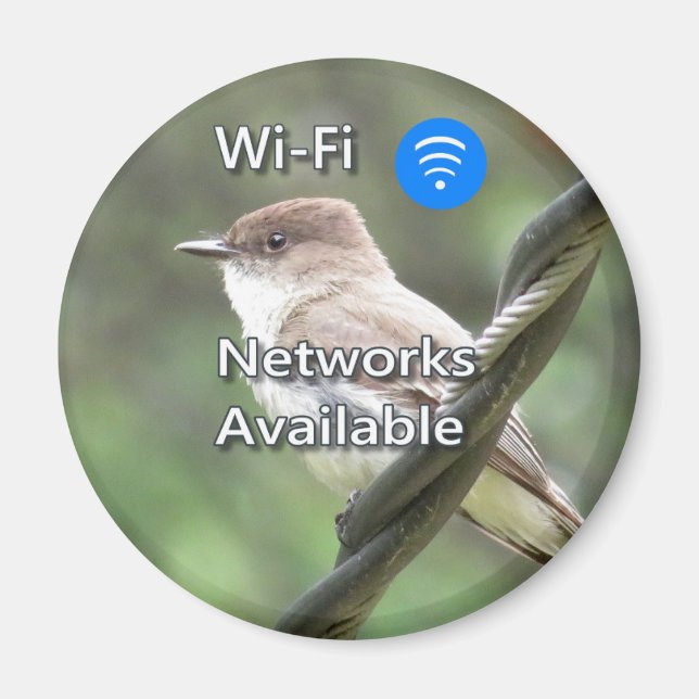 Imán Wi-Fi Eastern Phoebe (Frente)