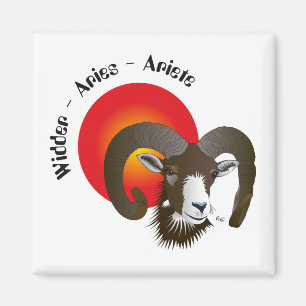 Imán Widder Sternzeichen Magnet