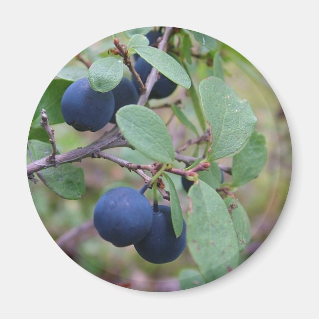 Imán Wild Berries (Frente)
