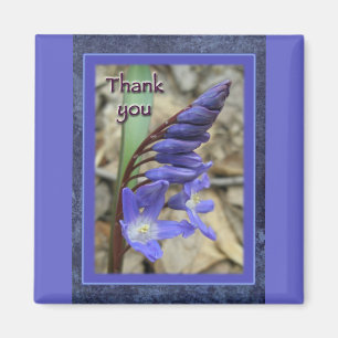 Imán Wild Blue Hyacinth Gracias