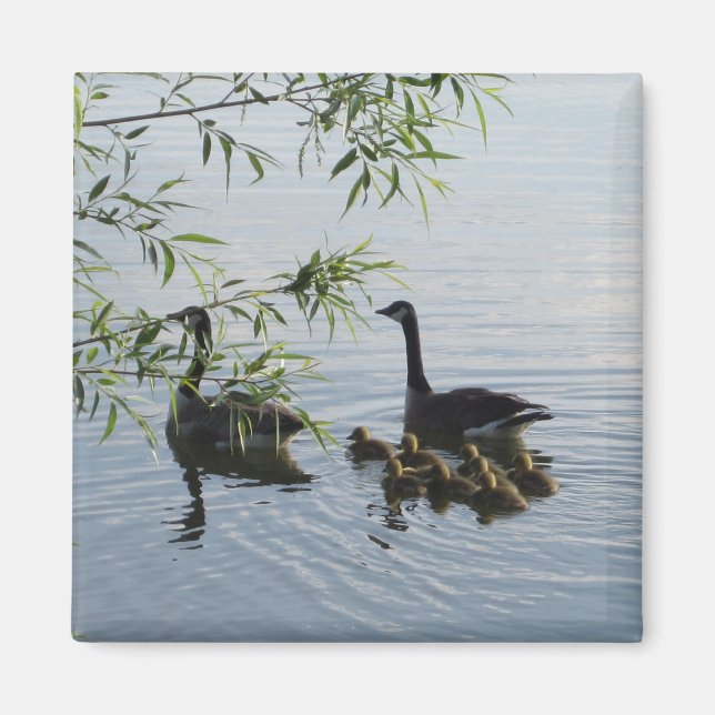 Imán Wild Geese Magnet (Frente)