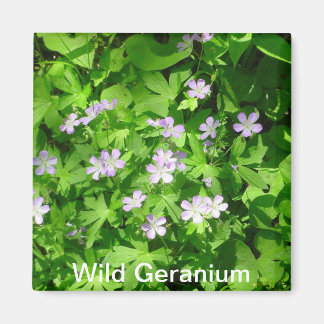 Imán Wild Geranium Magnet
