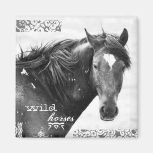 Imán Wild Horse Southwest Photo Magnet