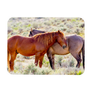 Imán Wild Horses