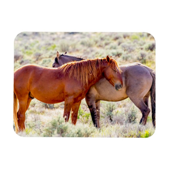 Imán Wild Horses (Horizontal)