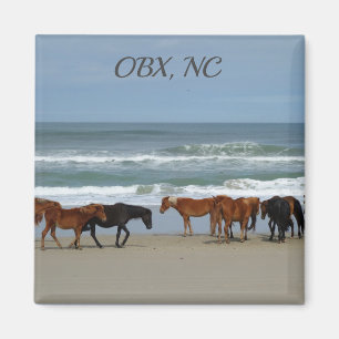 Imán Wild Horses OBX NC