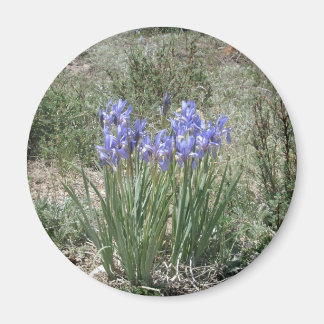 Imán Wild Iris