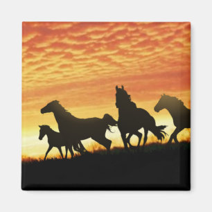 Imán Wild Mustangs