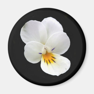 Imán Wild Pansy Magnet