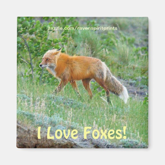 Imán Wild Red Fox-lover Animal Wildlife Art Magnet (Frente)