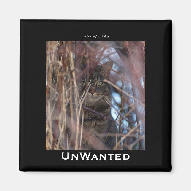 Imán Wild Tabby Cat Demotivation Animal Magnet (Frente)