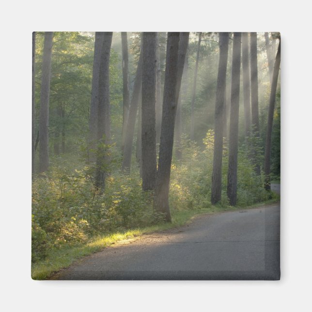 Imán Wilderness Drive, Parque Estatal Itasca, (Frente)