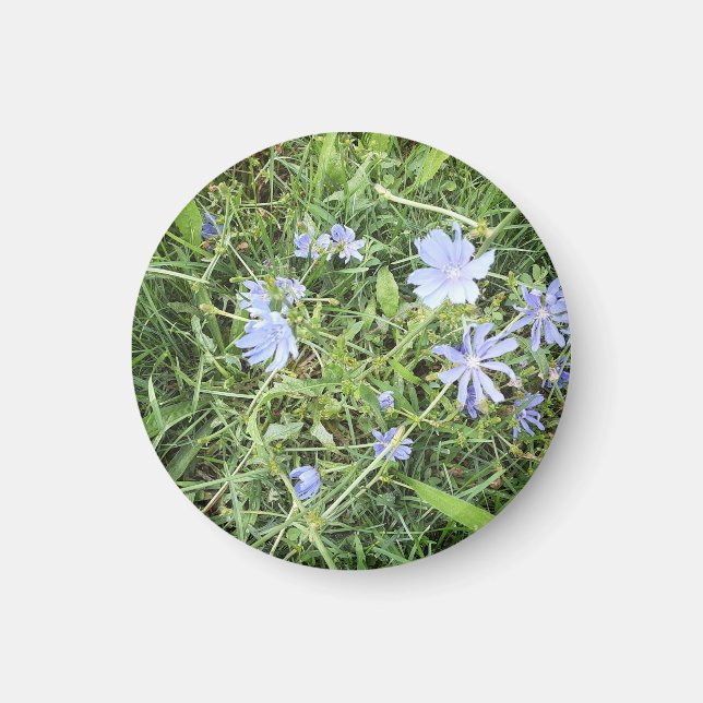 Imán Wildflower Magnet (Frente)