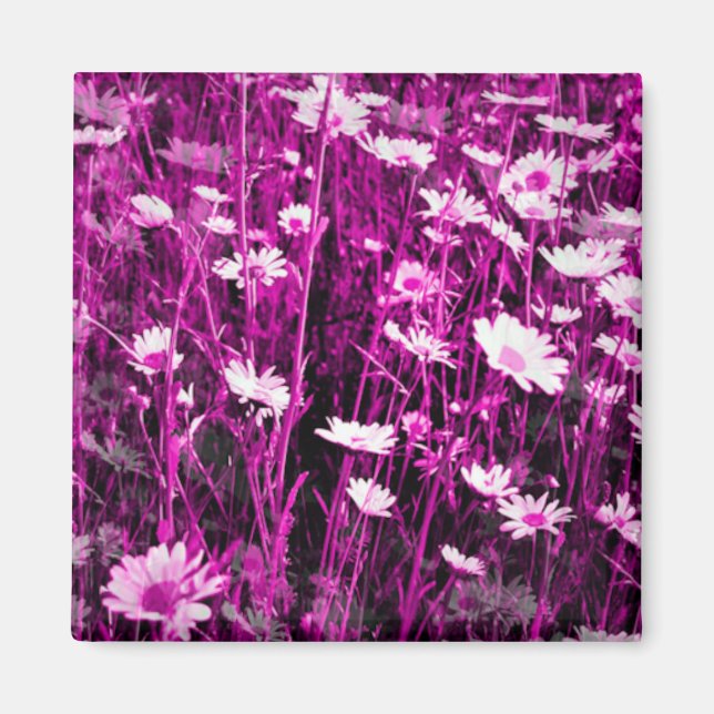 IMÁN WILDFLOWERS (Frente)