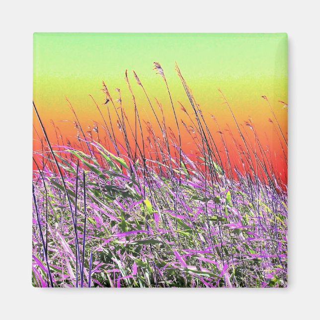 IMÁN WILDFLOWERS (Frente)