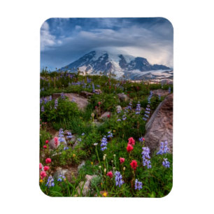 Imán Wildflowers