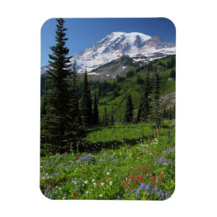 Imán Wildflowers en el Monte Rainier