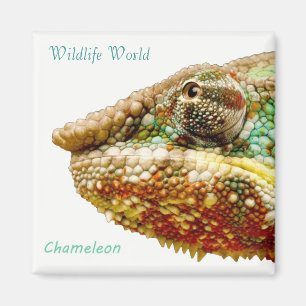 Imán Wildlife Magnet